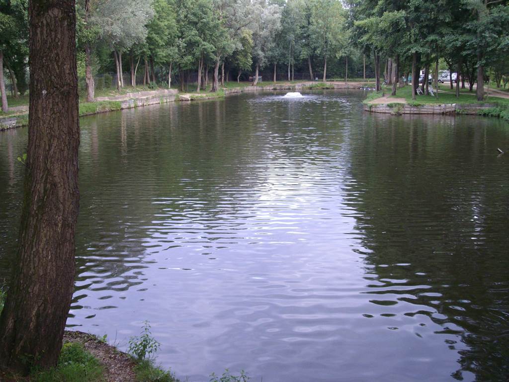 Fishing in the ponds of Villers-Semeuse