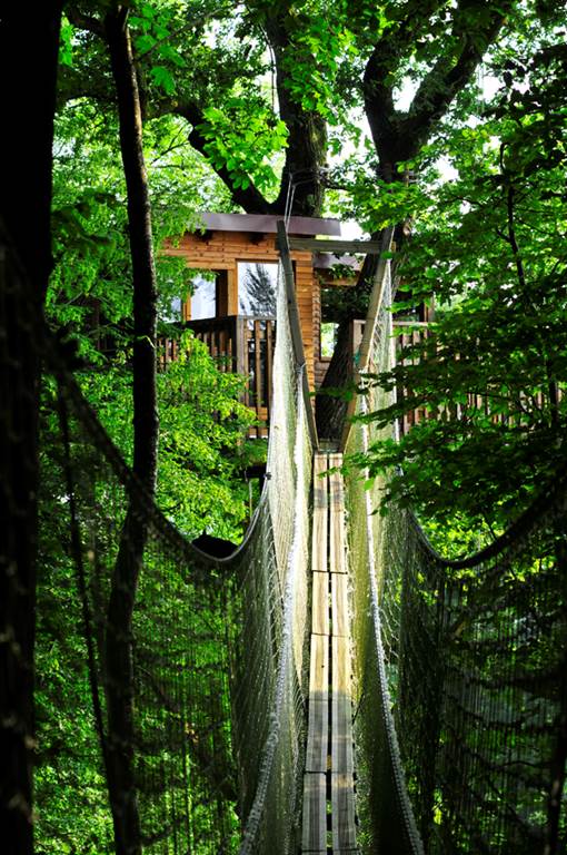 Le Chêne Perché - Cabanes à la cime des arbres