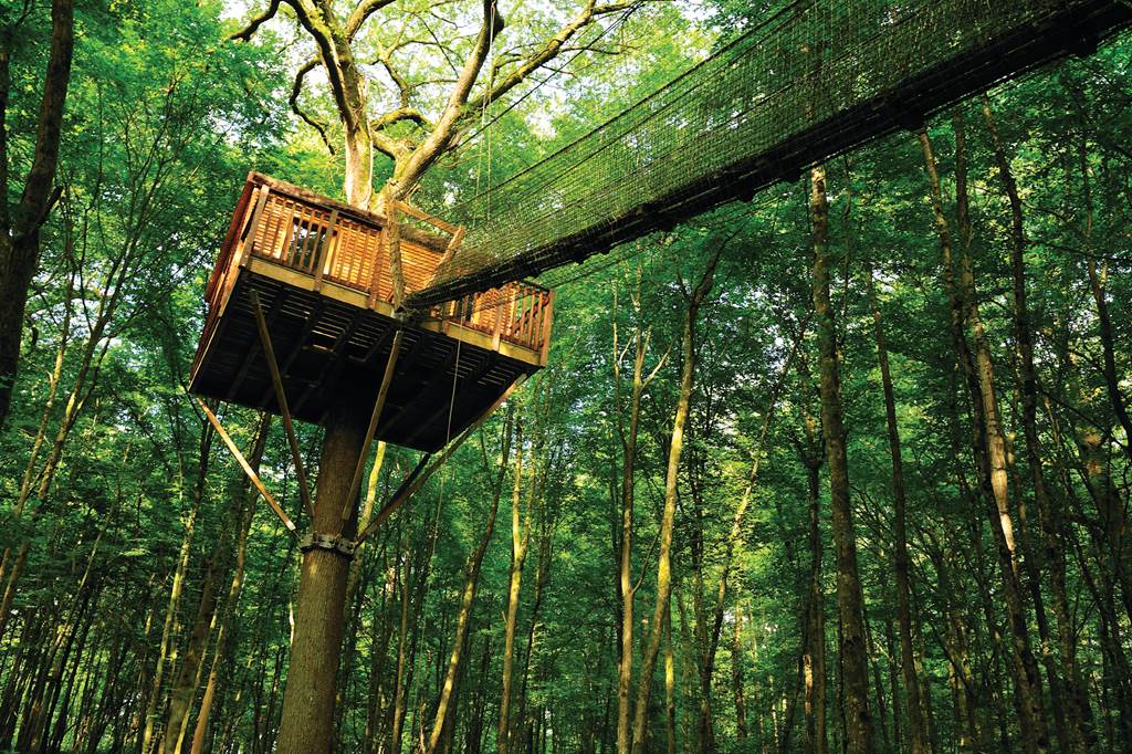 Tourisme de savoir faire - Visite des Cabanes Perchées