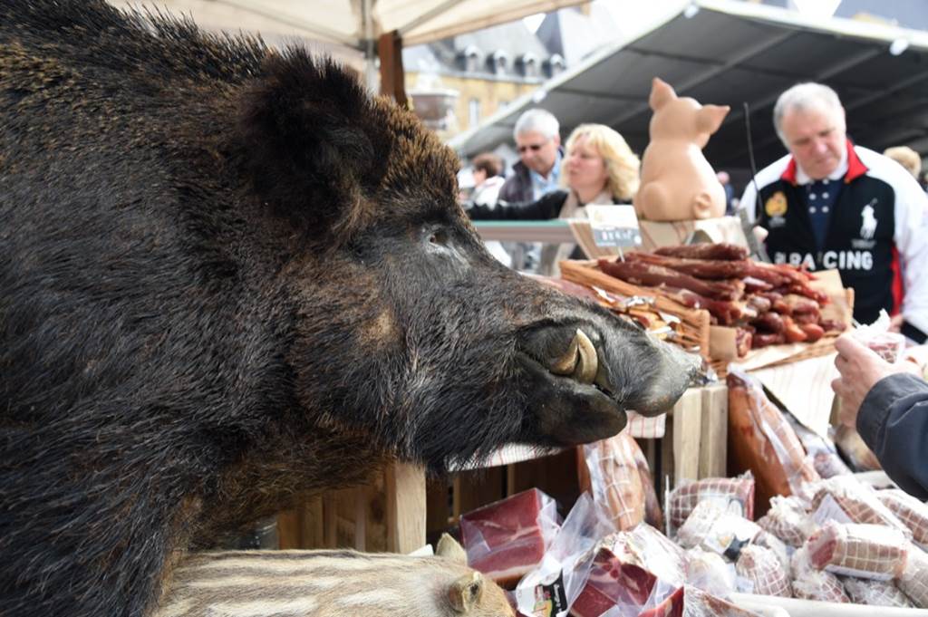 18ème Festival des Confréries en Ardenne