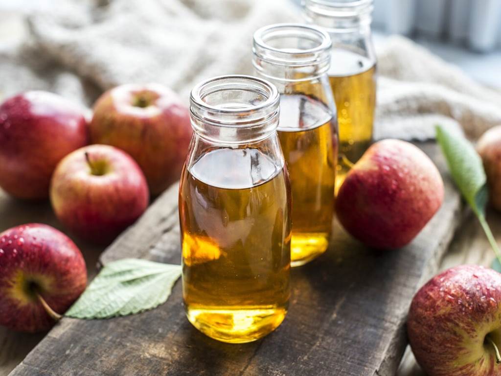 Fabrication et dégustation de jus de pommes