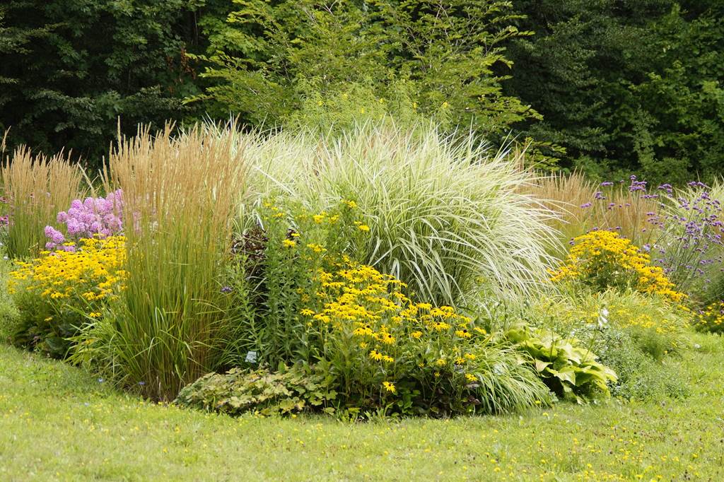 Rendez-vous aux jardins