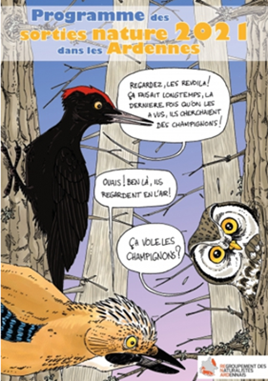 Sortie Nature Saurez-vous reconnaître les différents ululements des espèces du site Natura 2000 ?