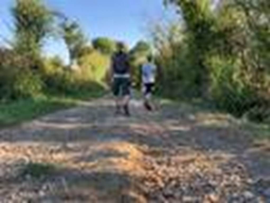 Marche sur les Crêtes à THIN LE MOUTIER