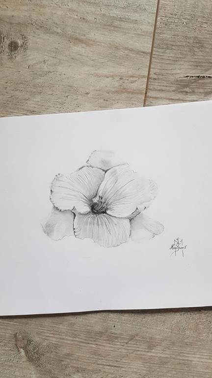 Atelier Dessin