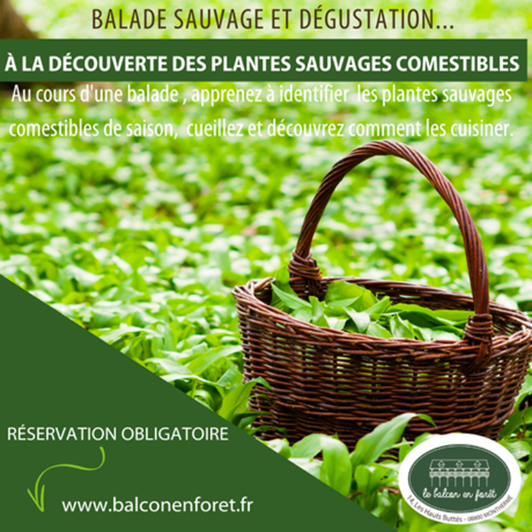 Balade sauvage et dégustation