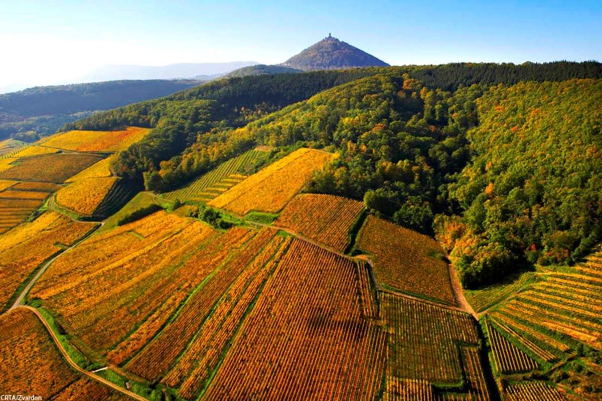 Maison d'Hôtes La Rose Trémière en Alsace