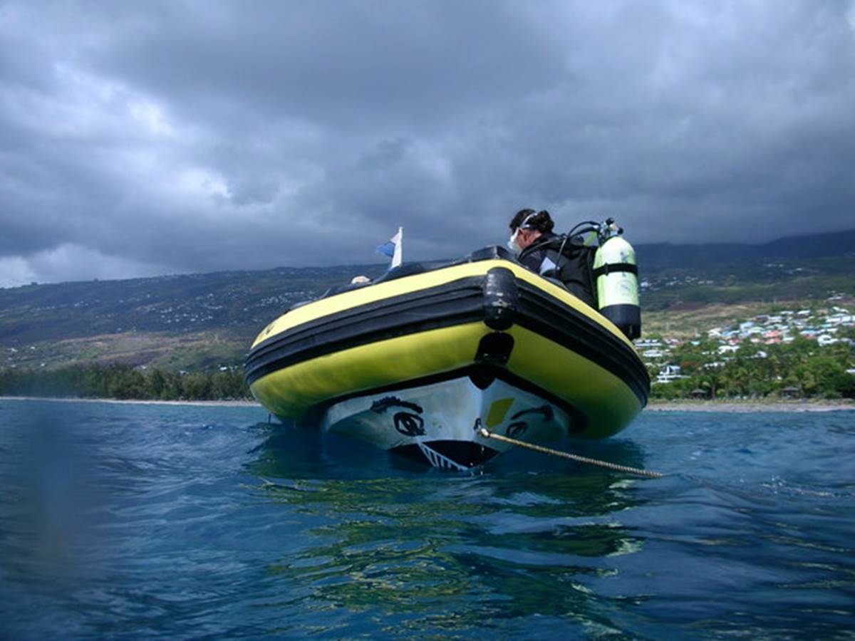 gite ylang et ylang 2 face à la Piscine