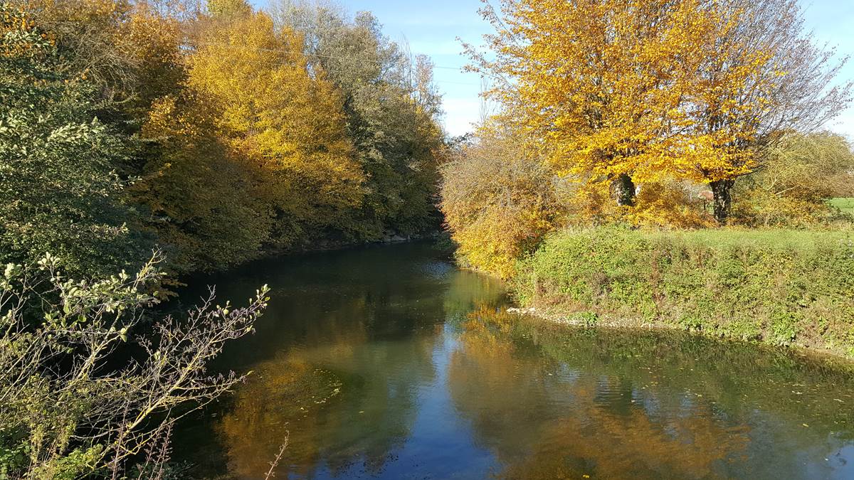 Page Covid 19 - Les Mout'ânes - ST HILAIRE SUR HELPE - FRANCE