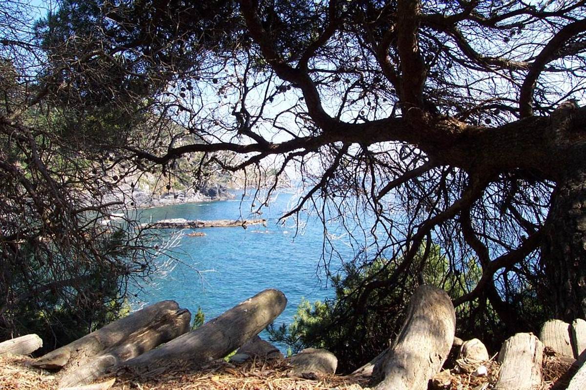 Terrase vue mer avec piscine Villa Azur Golf Var Bandol