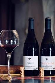 Domaine Le Breton Vial - Cuvée vin rouge