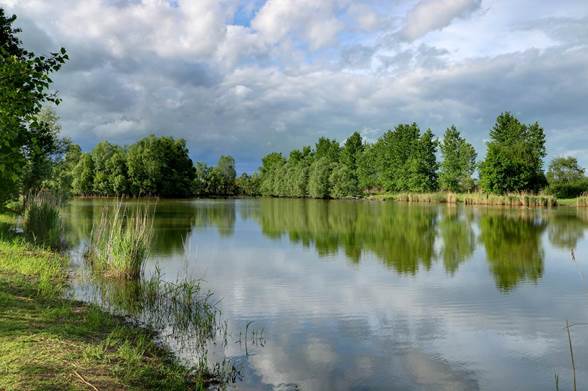 La Dombes, pays aux mille étangs