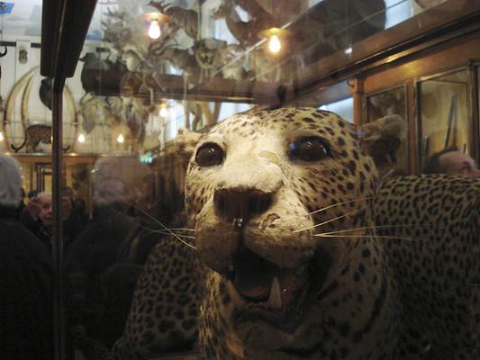 Musée de la Chasse et de la Nature