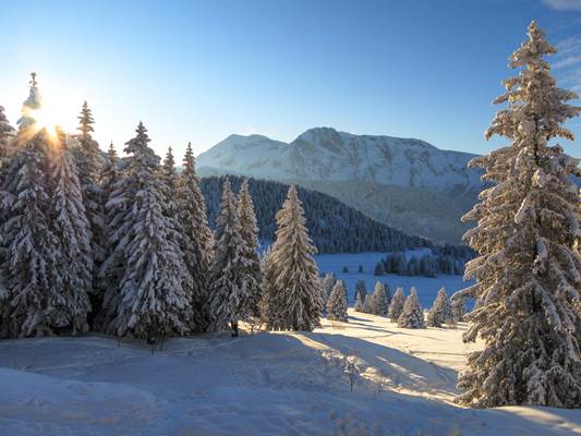 Chamrousse, la station des Grenoblois