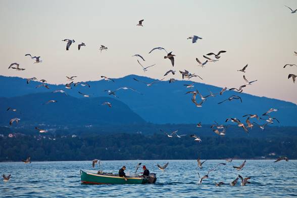 Thonon-les-Bains 