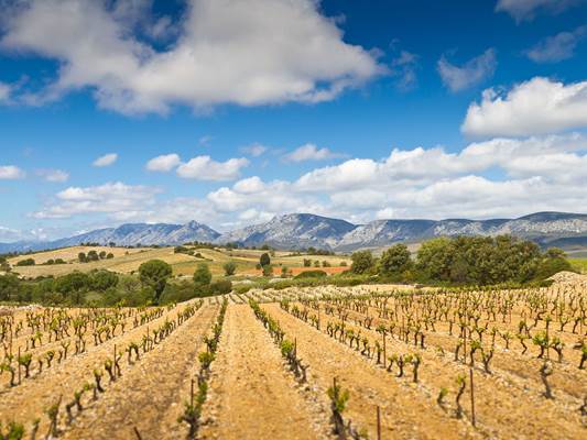 Tautavel, centre européen de préhistoire