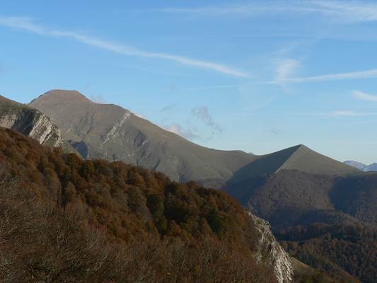 Larrau et la forêt d'Iraty 