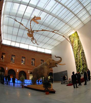 Muséum de Toulouse