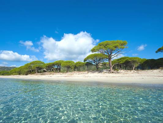 Porto-Vecchio