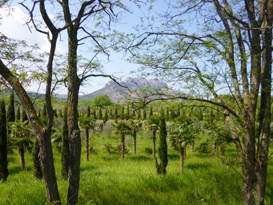 Roquebrune-sur-Argens, Puget-sur-Argens