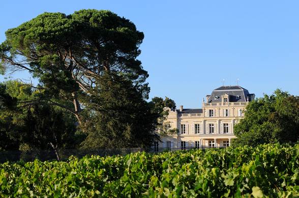 La route des vins du Médoc