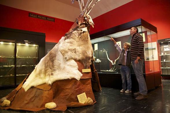 Musée d'Art et d'Archéologie du Périgord