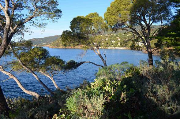 Le Domaine du Rayol, le jardin des Méditerranées