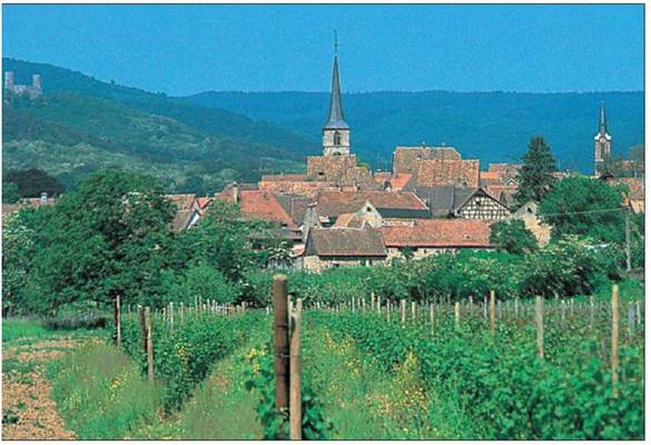 Mittelbergheim