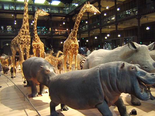 Museum national d'Histoire naturelle