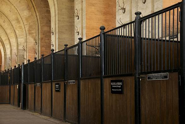 Musée Vivant du Cheval