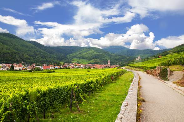 La route des vins d'Alsace