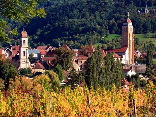 Arbois 