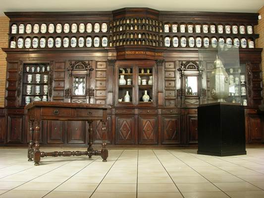 Musée Paul Dupuy