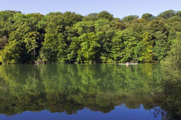 Forêt de Fontainebleau