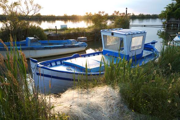 Les Saintes-Maries-de-la-Mer et le parc naturel régional de Camargue