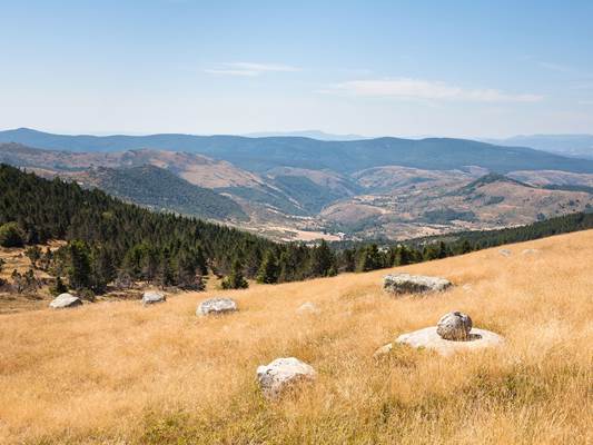 Le mont Lozère, point culminant des Cévennes