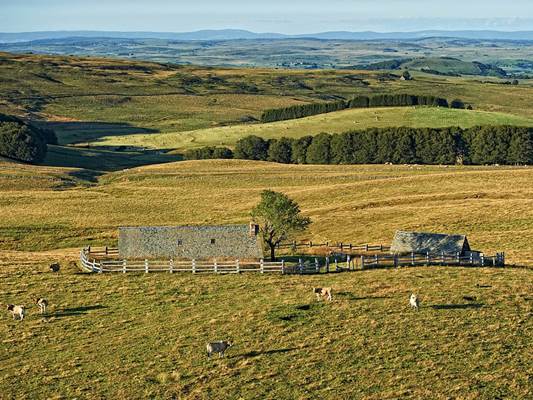 Laguiole et le plateau de l'Aubrac