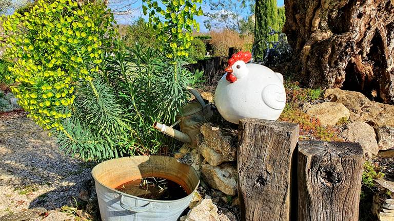 Décoration dans le jardin