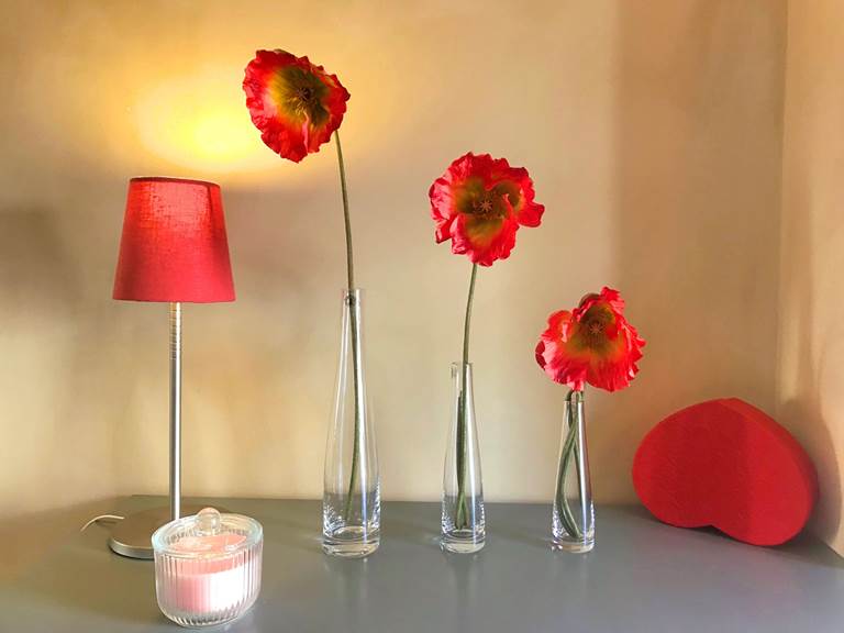 Chambre d'hôtes Coquelicots à Côté Granges