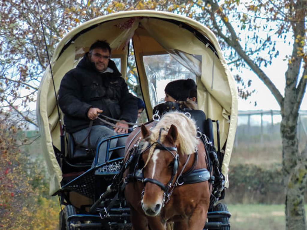 Gaston et la calèche bâchée