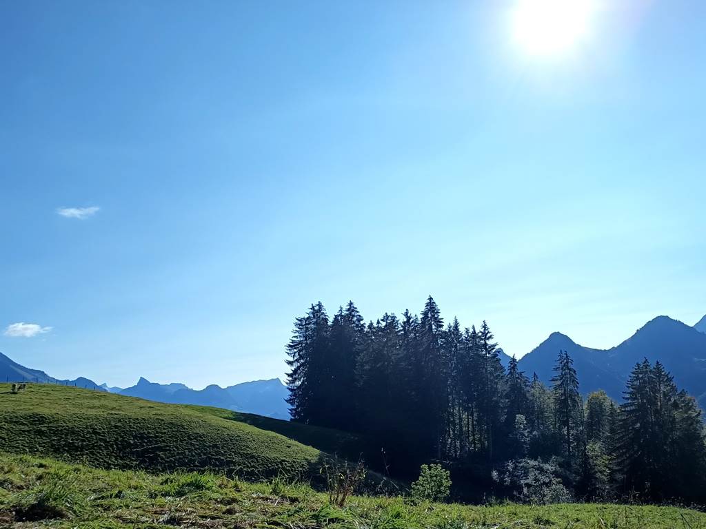 Randonnée au dessus du studio, vue sur le Moléson