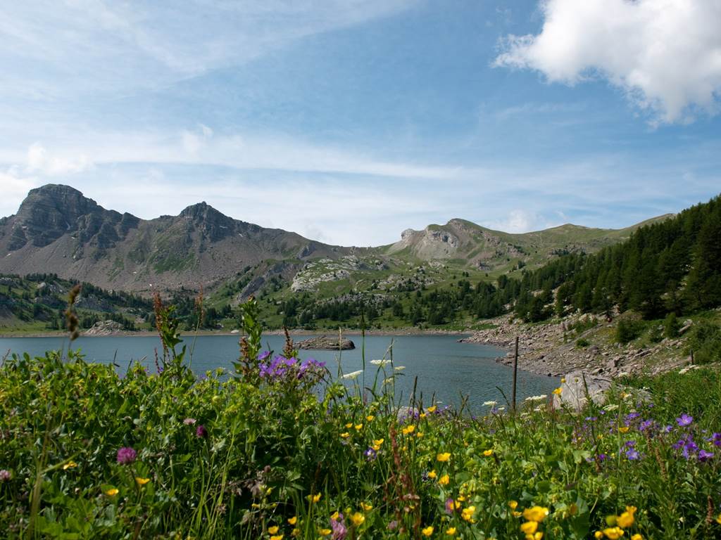 97794514_3062243690508504_6693952529362845696_n