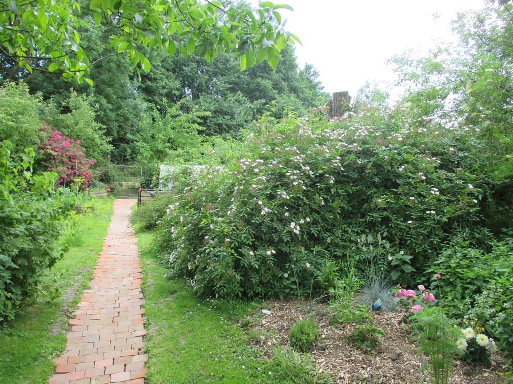le jardin en été