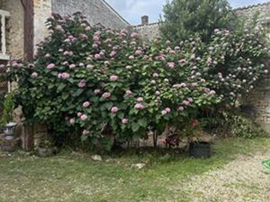 vue-maison-garesché-extérieure