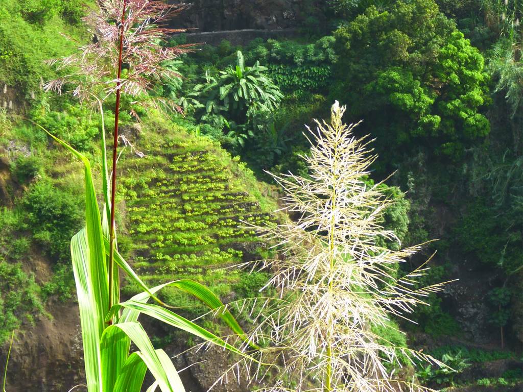 kasa-tambla-hebergement-hotel-ponta-do-sol-santo-antao-cap-vert