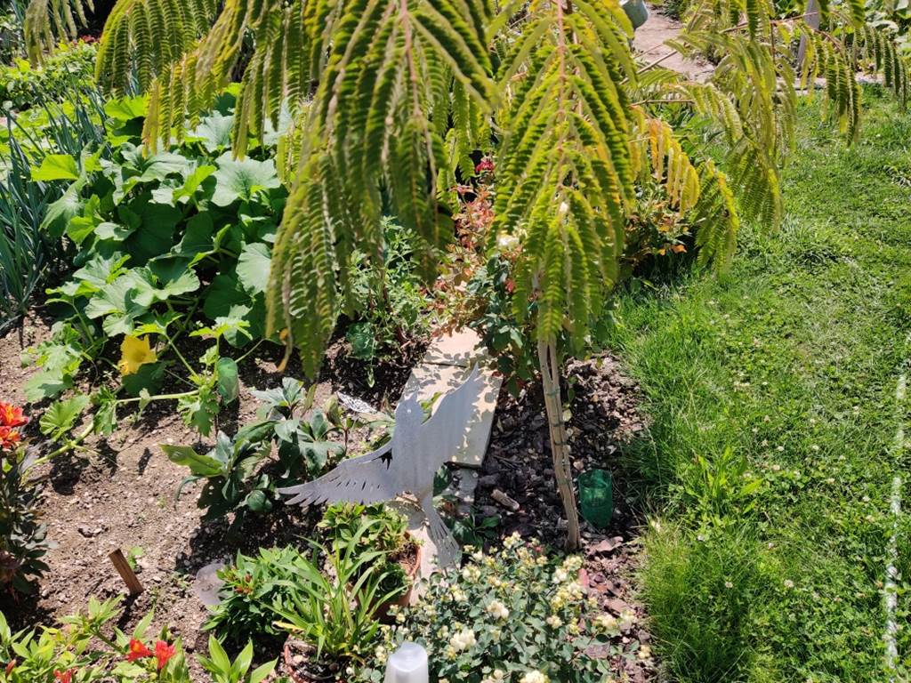 Jardin et oiseau déco