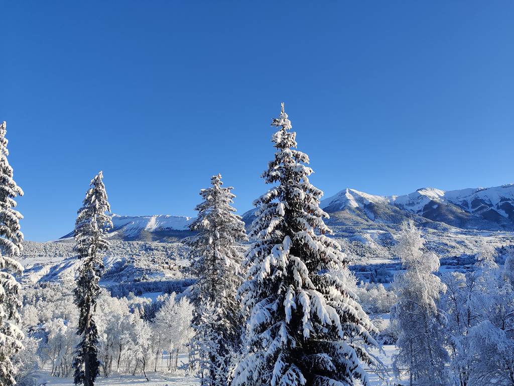 IMG_20201206_091607