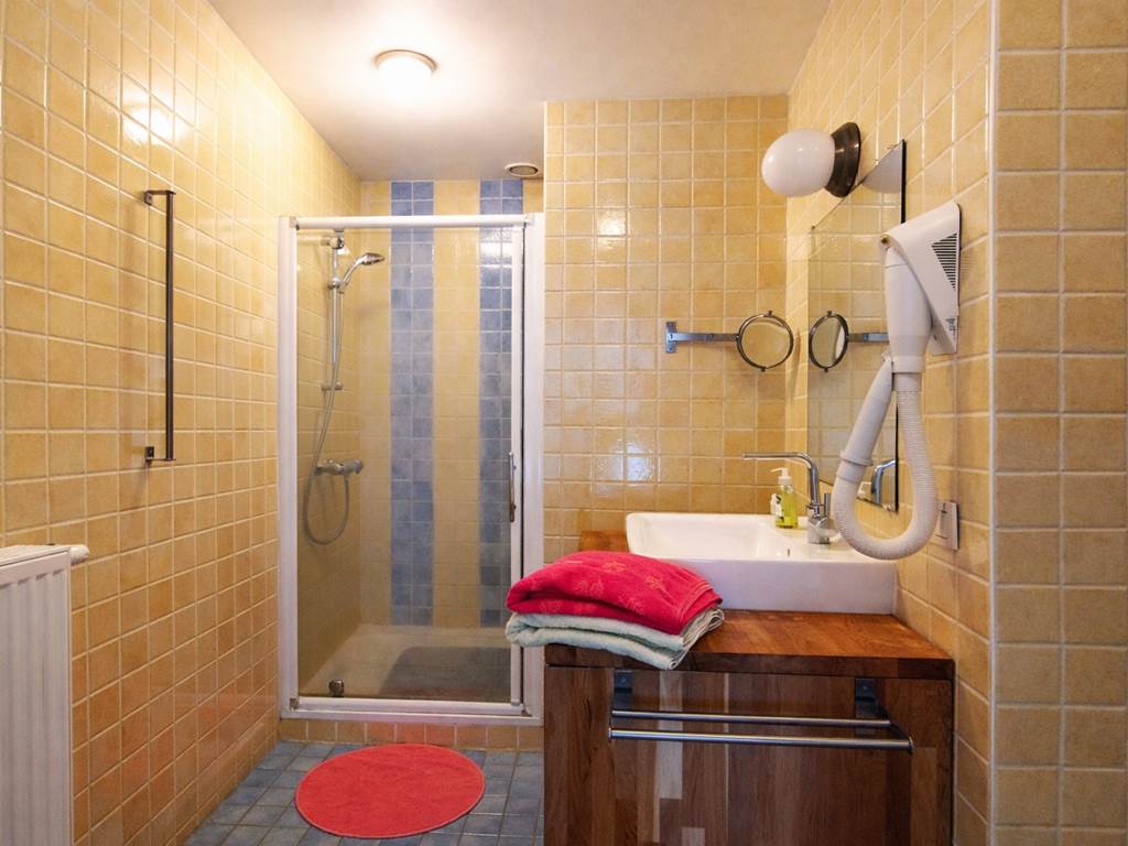 Privée pour la chambre Fleurie : Douche - 1 Lavabo - Wc - Sèche cheveux
