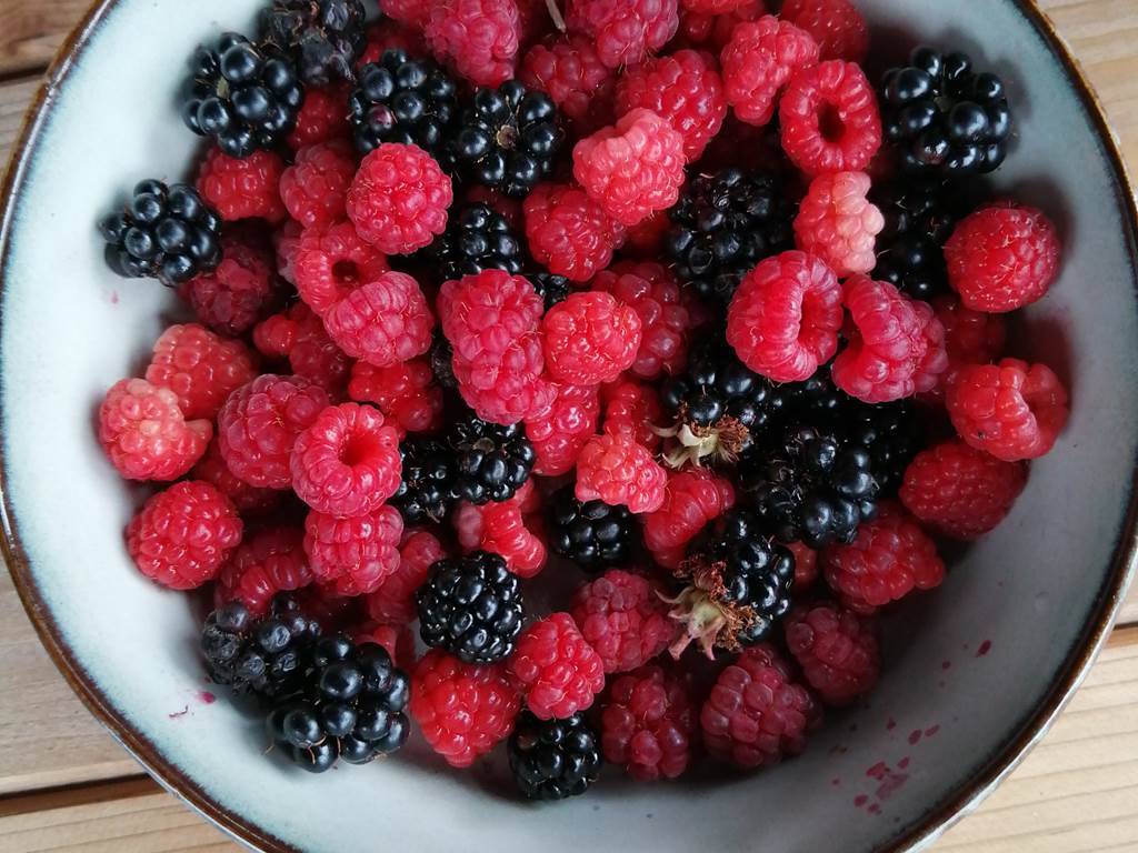 La récolte du jardin en prévision de bonnes gelées de fruits