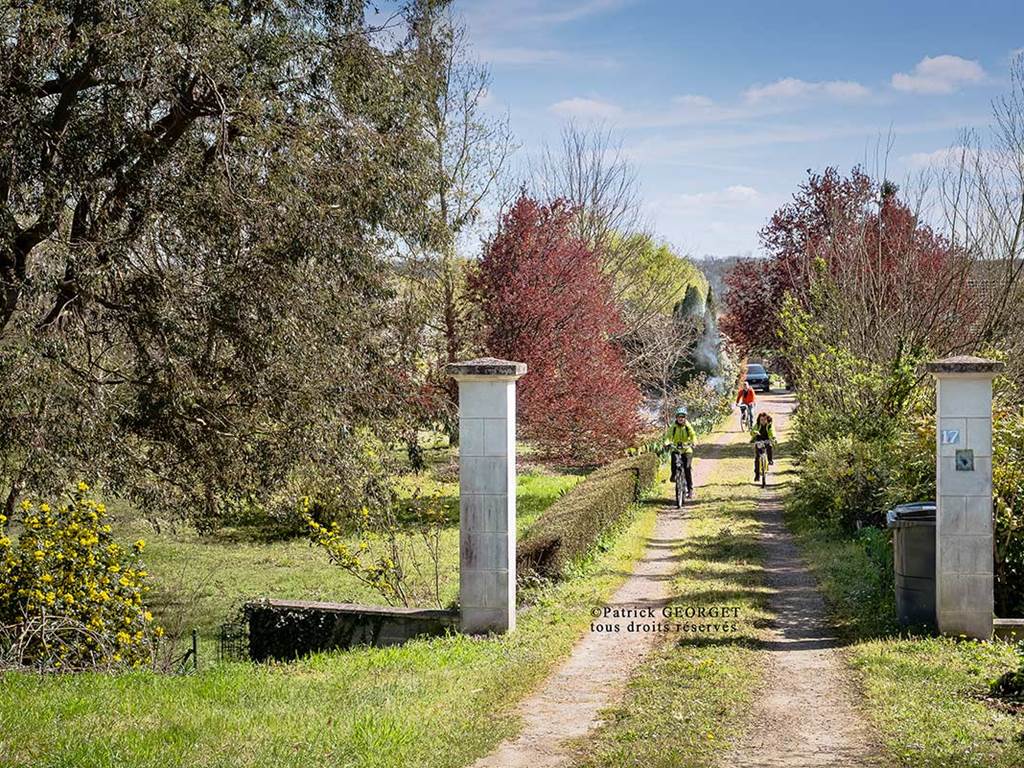 Gîte situé à proximité de l’itinéraire Loire à Vélo, parfait pour les cyclistes en séjour en Touraine.